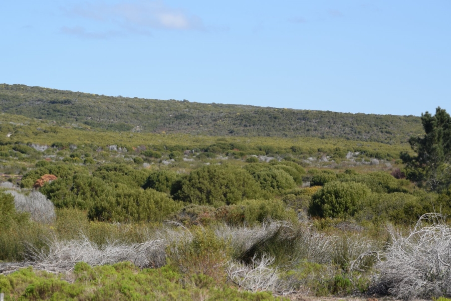  Bedroom Property for Sale in Stilbaai Rural Western Cape